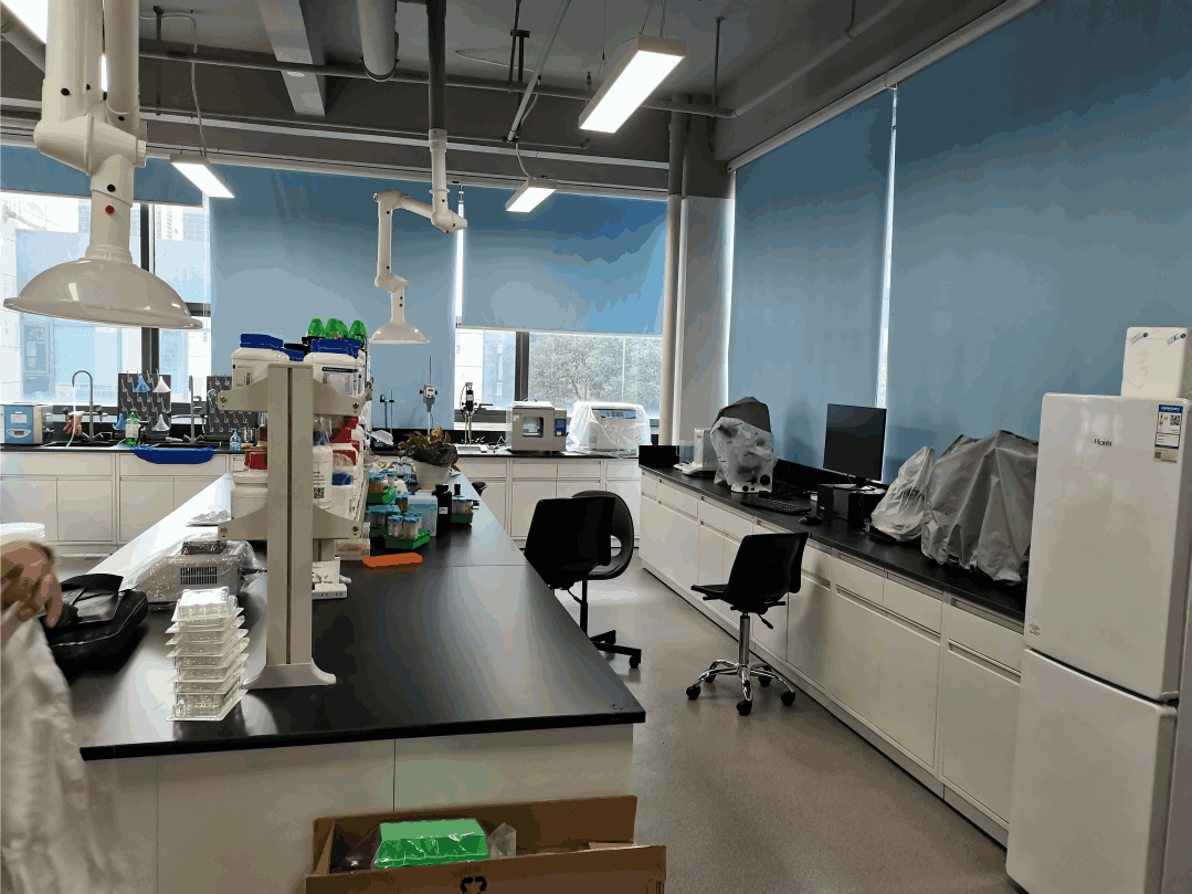 Bio-chem Laboratory