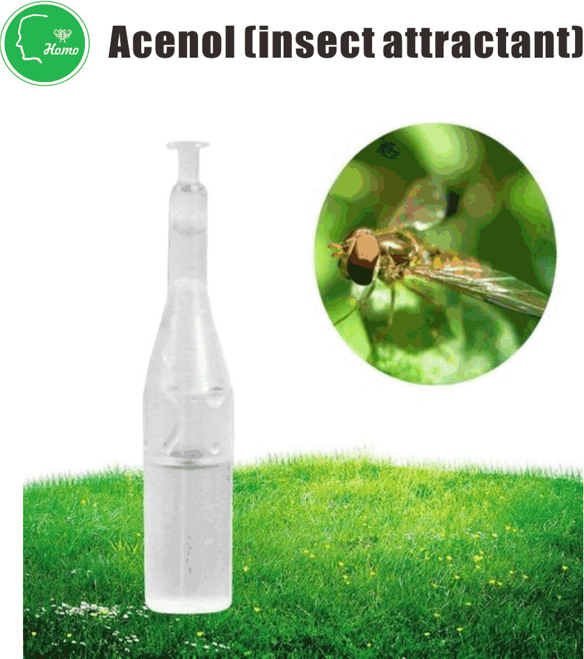 Acenol (insect attractant)
