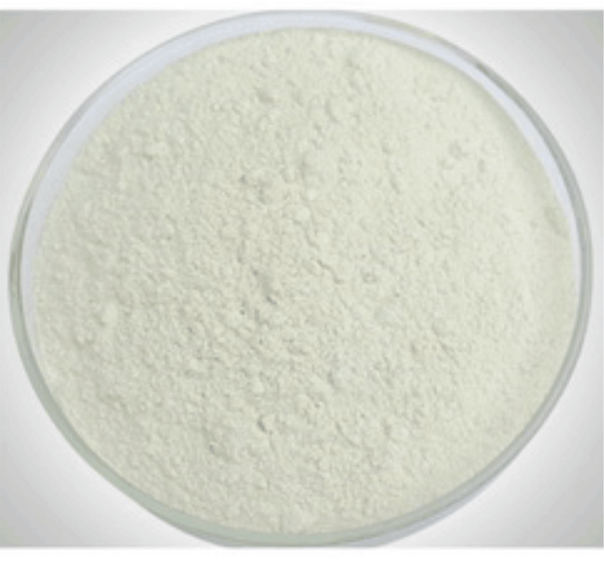 bacillus subtilis-1.png