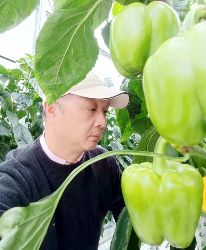 Dr. Jingming Zheng  -2.png
