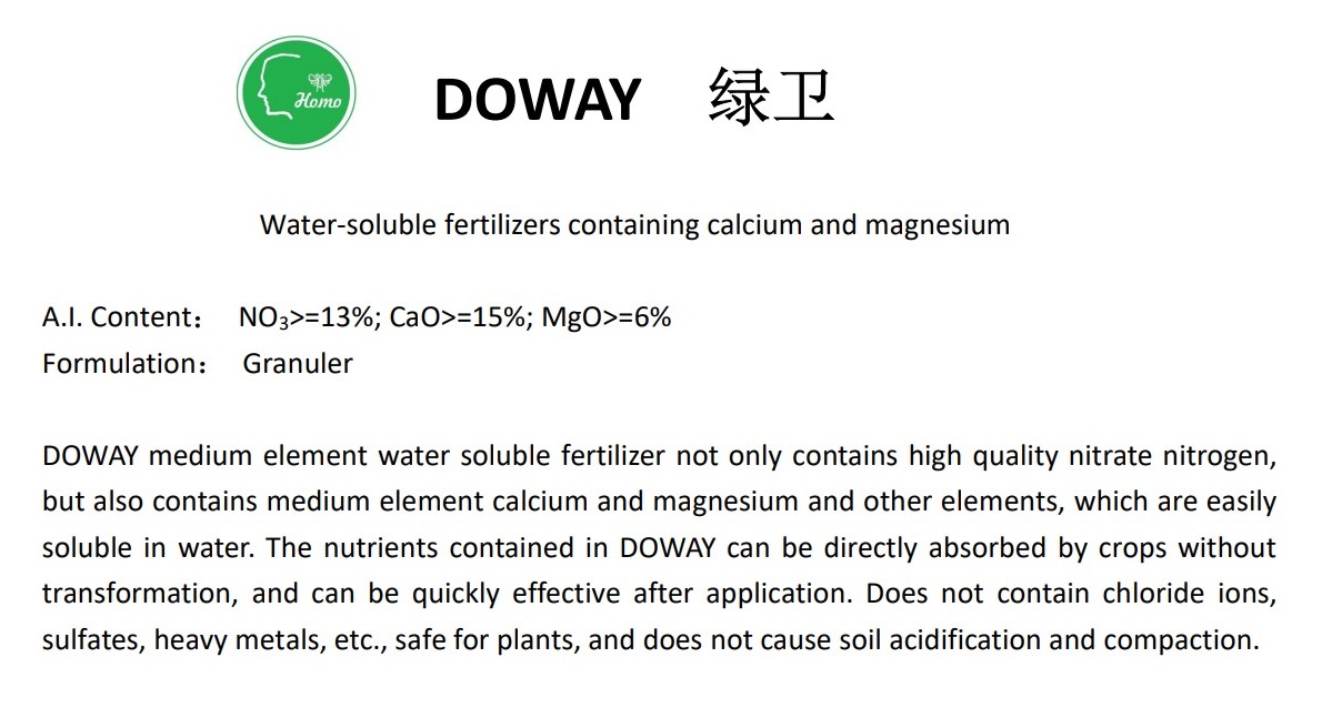 DOWAY.jpg