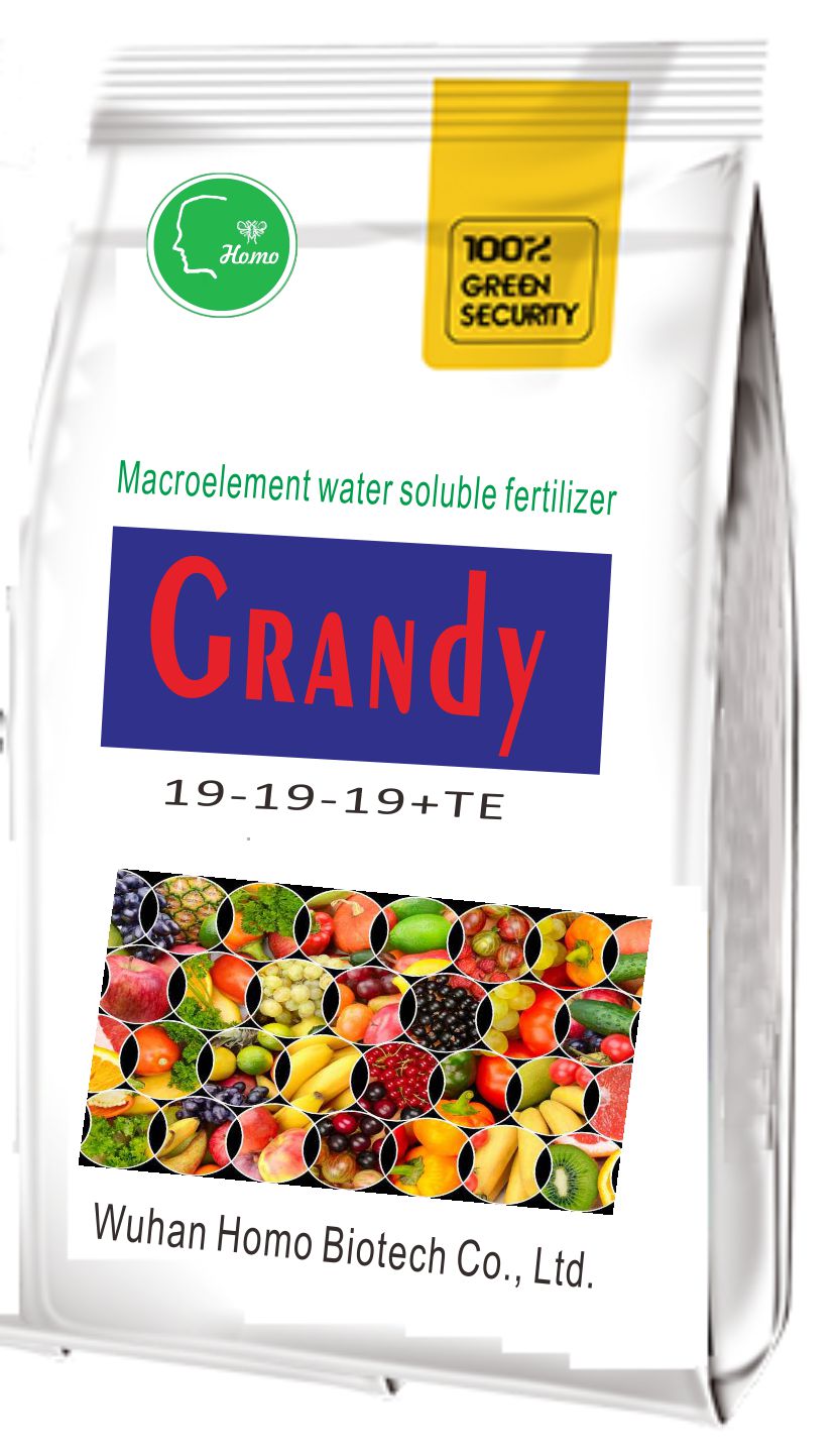 Grandy、-1.jpg