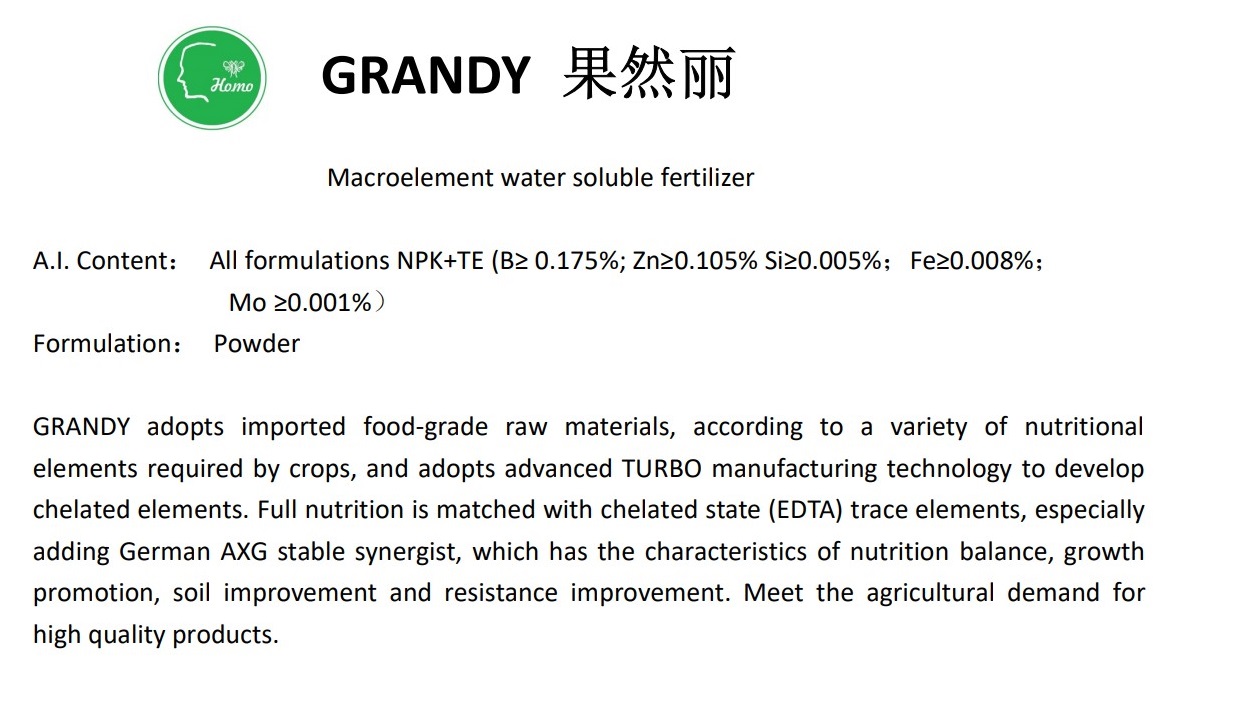 Grandy specification_1.jpg
