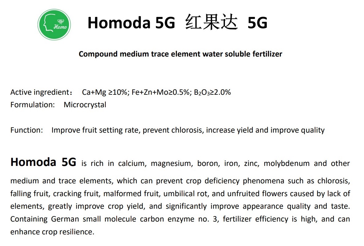 Homoda 5G specification_1.jpg